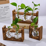 support plantes cadre bois marron verre transparent modernes vases coeurs plantes vertesintérieur décoration minimaliste