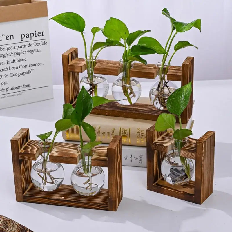 support plantes cadre bois marron verre transparent modernes vases coeurs plantes vertesintérieur décoration minimaliste