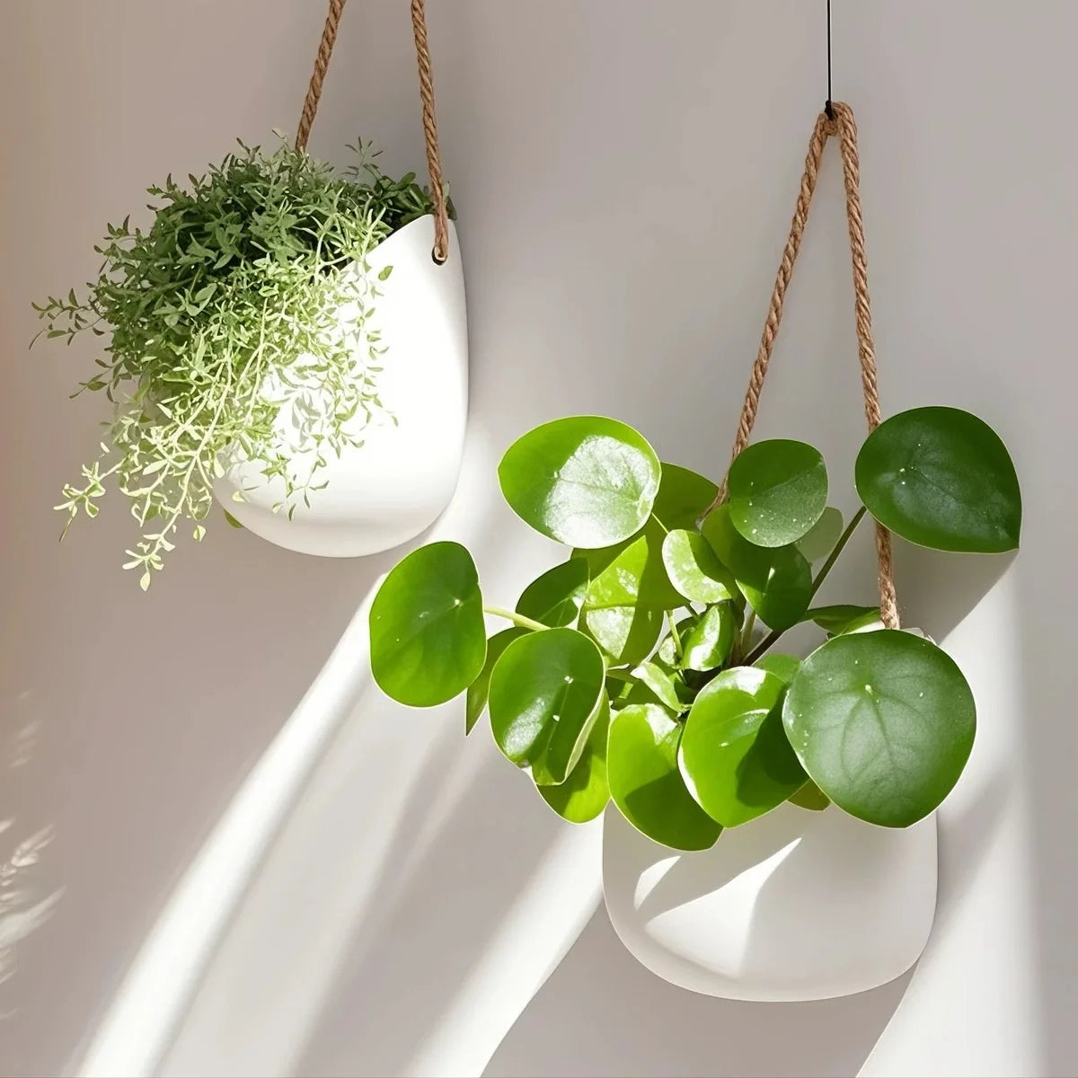 pots suspendus plantes fleurs corde cuir suspension murale deco minimaliste moderne boheme