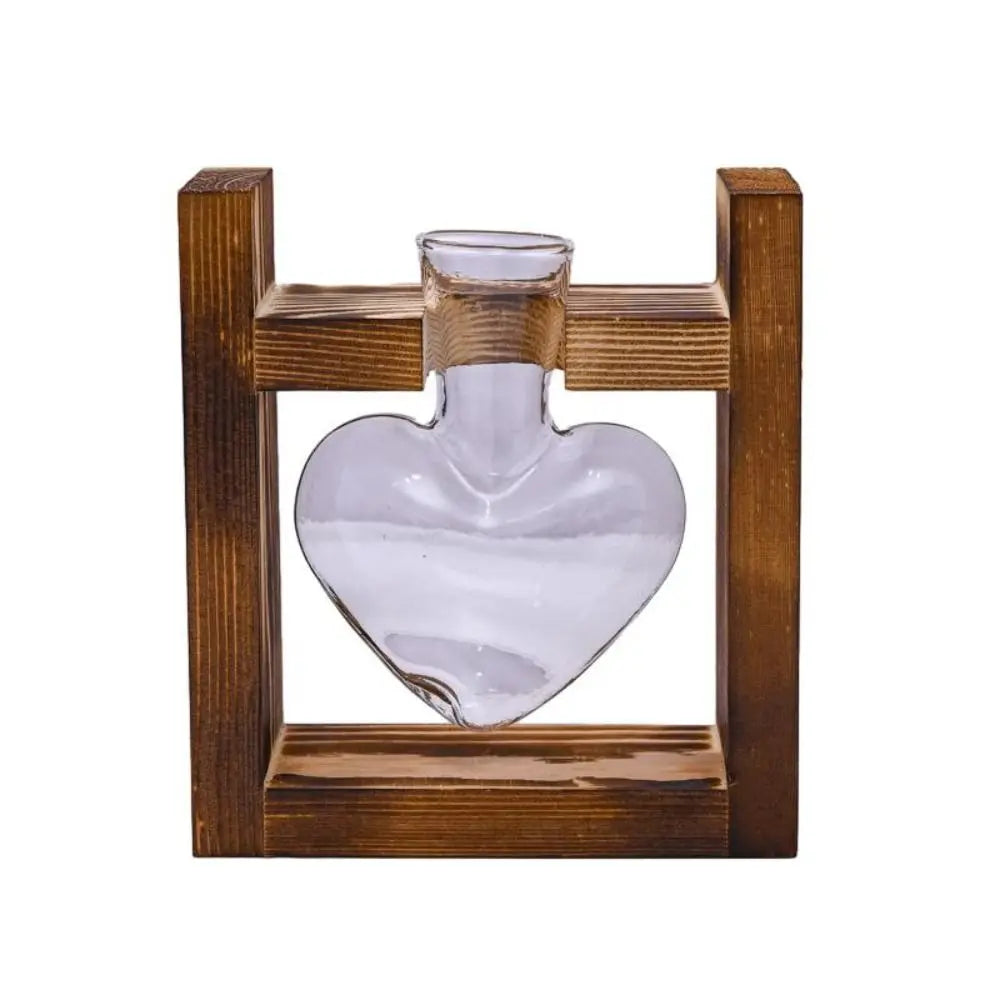 vases transparents modernes verre rond geometrique decoration plante verte