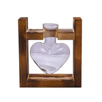 vases transparents modernes verre rond geometrique decoration plante verte