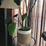 panier tressé fibre végétale réutilisable respectueux environnement pliable rangement vert beige rustic