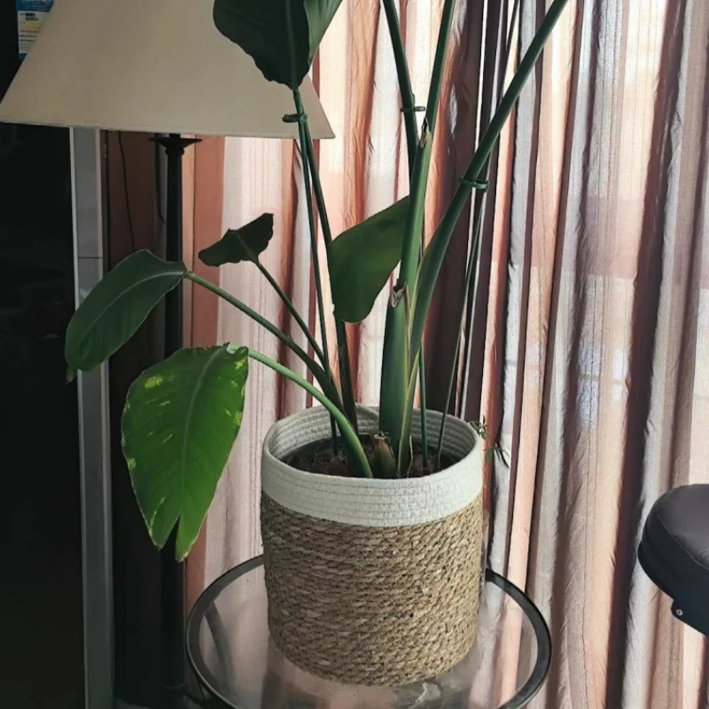 panier tressé fibre végétale réutilisable respectueux environnement pliable rangement vert beige rustic