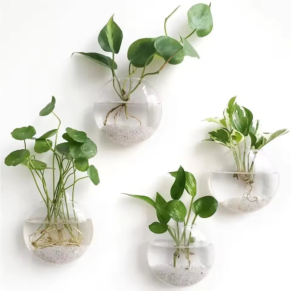 vases suspendus verre transparent modernes minimalistes adhésifs plantes intérieures