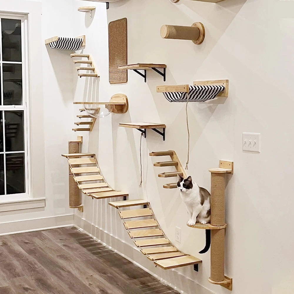 Étagère murale échelle pour chat dans un salon moderne