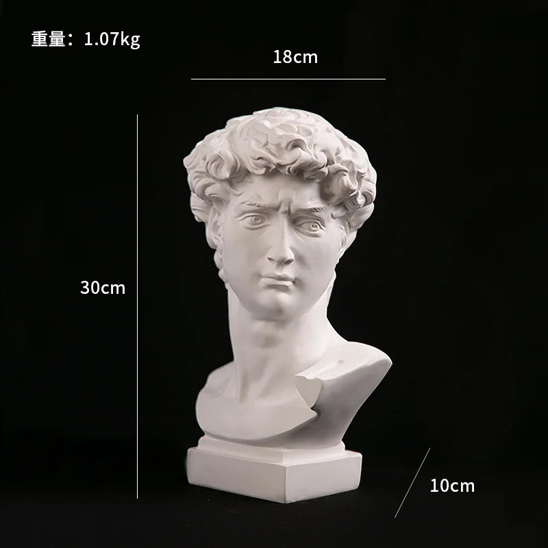 statue résine david tête buste moderne blanc noir multicolore styled sculptural