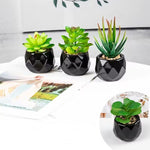 plantes artificielles bonsaï vertes modernes pot poterie décoration intérieure extérieure jardin