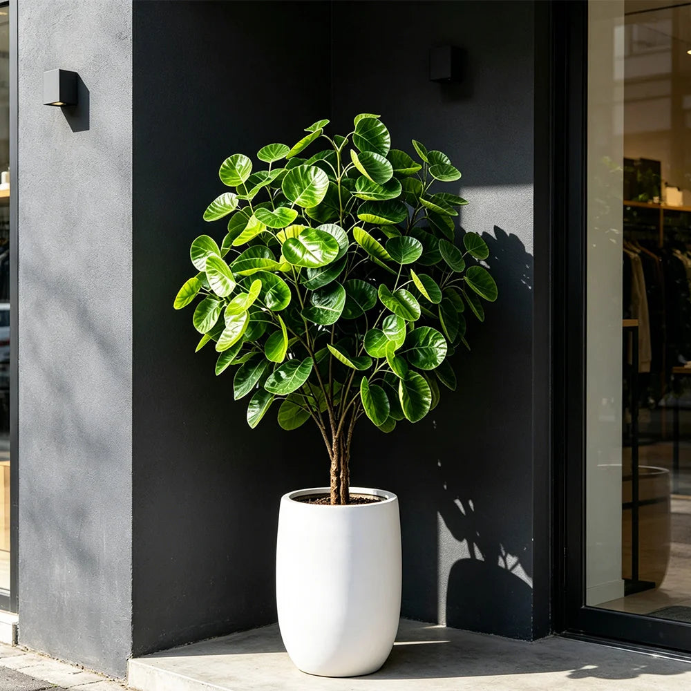 plantes artificielles eucalyptus feuilles schefflera branche arbre monnaie vert décoration intérieure pot grande taille