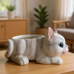 pots fleurs forme chat imitation pelage succulentes decoration gris rose bleu mignon animalier