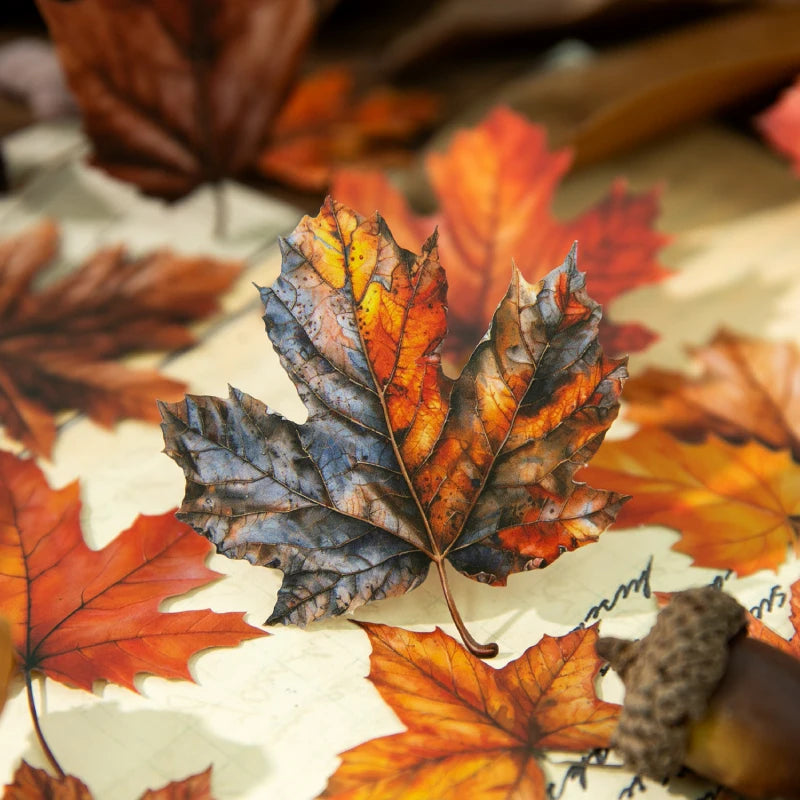 feuilles artificielles orange rouge vert bleu marron jaune adhésives scrapbooking bricolage papeterie manuelle naturelle
