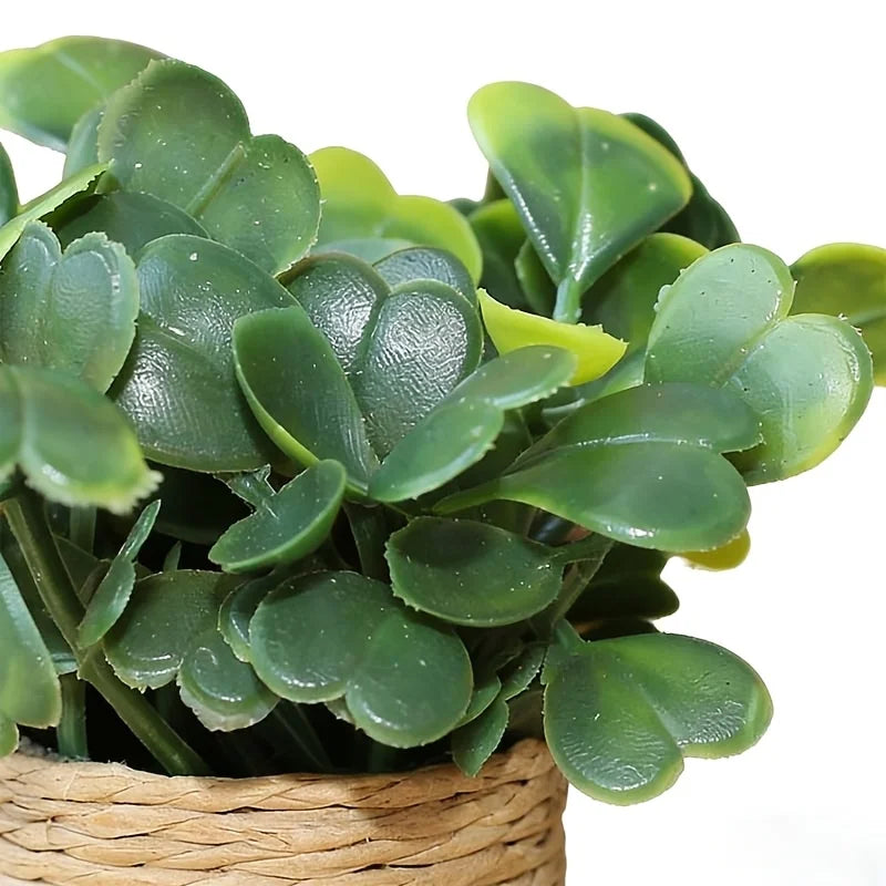 décoration intérieure pot plante artificielle miniature feuilles vert texturées pot tressé rustique