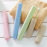 boîte rangement réutilisable moderne brosse dents rose bleu vert beige