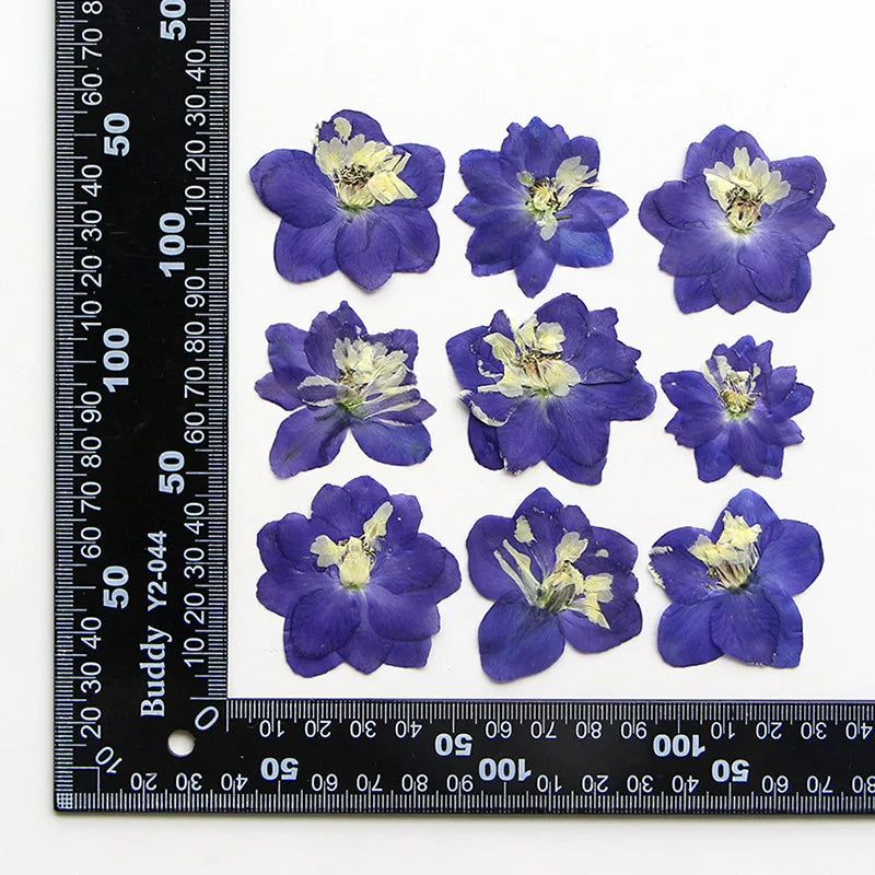 fleurs séchées bleu blanc jaune naturelles petals décor intérieur anniversaire cadeau art artisanal