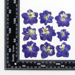 fleurs séchées bleu blanc jaune naturelles petals décor intérieur anniversaire cadeau art artisanal