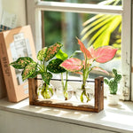 support plantes verre moderne bois marron clair vase transparent feuilles vertes multicoloresintérieur décoration