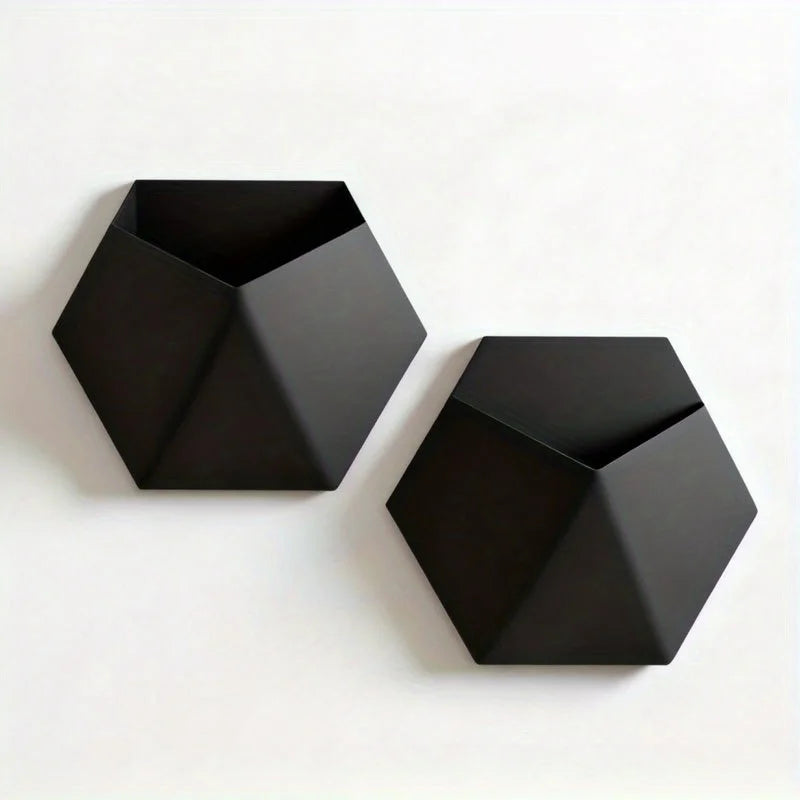 pots muraux hexagonnels noirs modernes pots plantes fixation murale géométriques transparentsintérieur