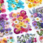 fleurs séchées multicolores variées naturelles scrapbooking décoration maison artisanat DIY