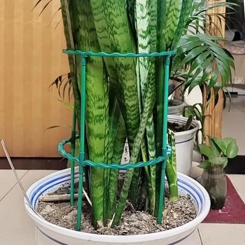 support plante spirale vert moderne clips assemblage facile jardin balcon vert