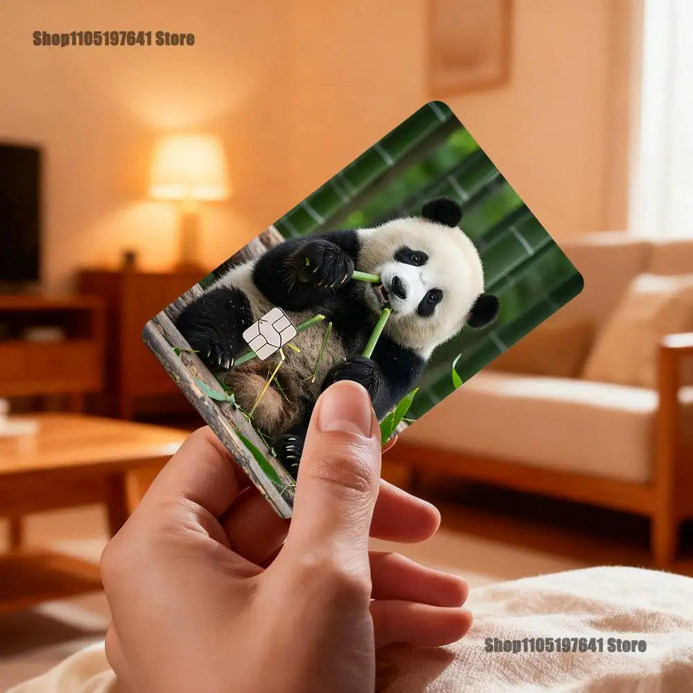 cartes postales panda illustration mignonne verte blanche noire bébé panda bambou fleurs textes pandas