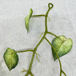 guirlande végétale artificielle feuilles ovales vert veinées tiges extérieure décoration naturelle exposition accrochée