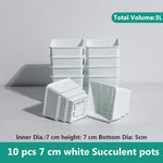 pots plantes plastique moderne blanc cactus succulents lithops drainage decoration maison