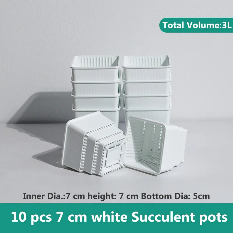 pots plantes plastique moderne blanc cactus succulents lithops drainage decoration maison