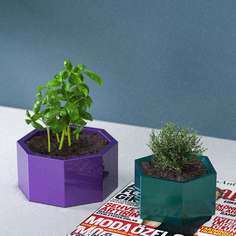cache plante hexagonal transparent violet vert bleu blanc moderne minimaliste silicone bricolage fleur rangement