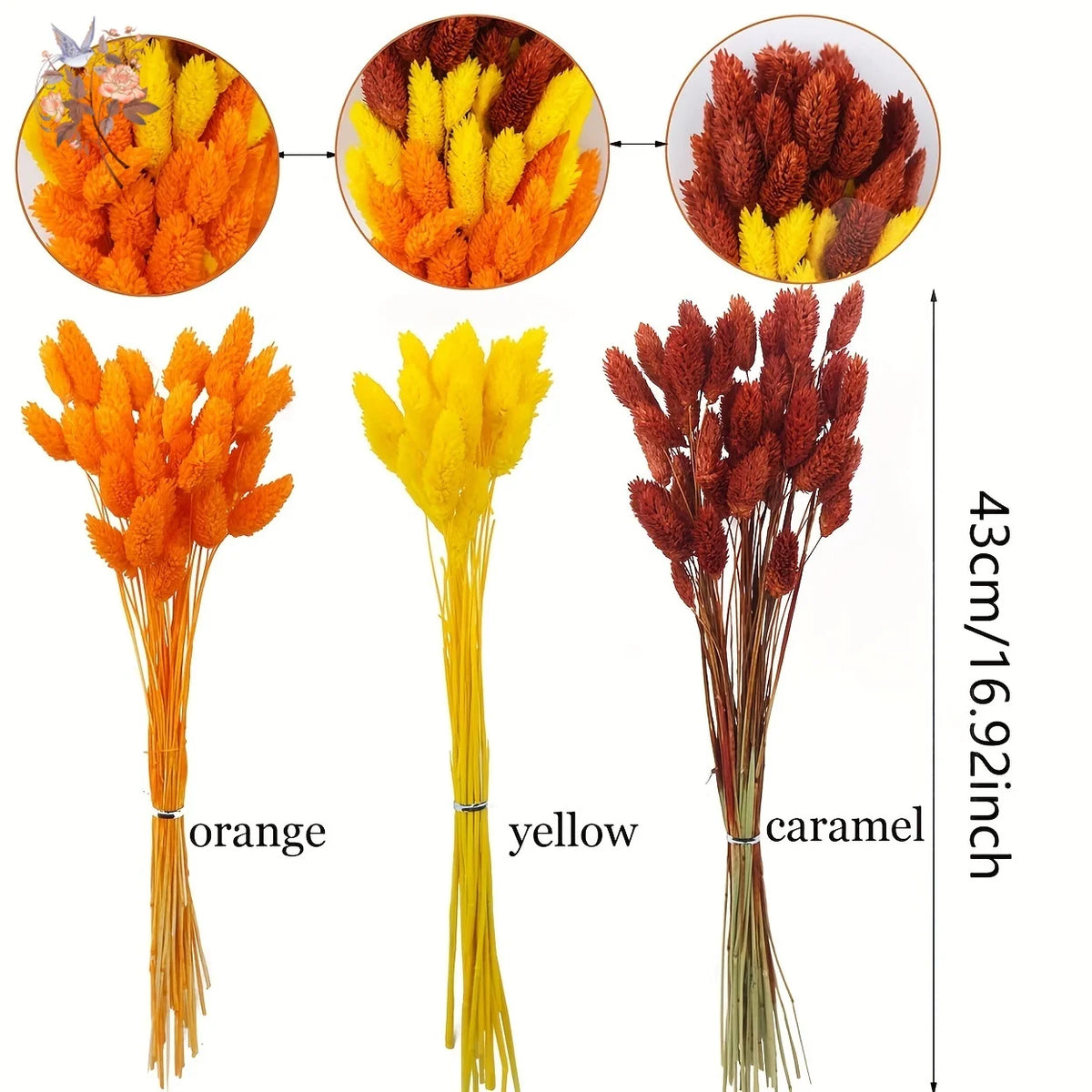 fleurs séchées naturelles bouquet orange jaune décoration maison anniversaire mariage festive bohème