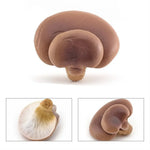 champignons décoratifs résine marron rouge lisses réels jardin decoration pointillés adultes