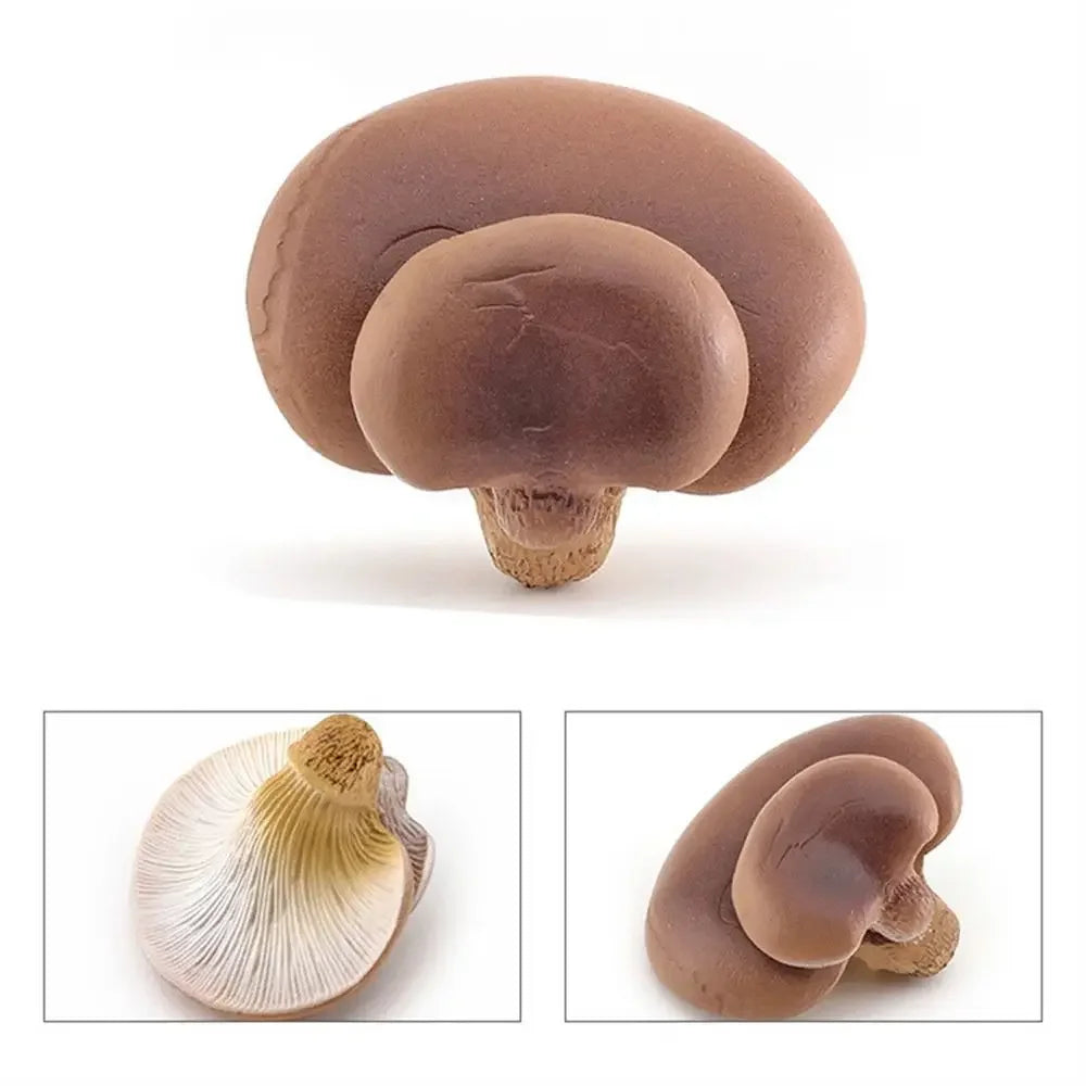 champignons décoratifs résine marron rouge lisses réels jardin decoration pointillés adultes