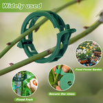 support plante grimpante vert moderne clips ficelle ruban nylon inclusion set jardin fixations