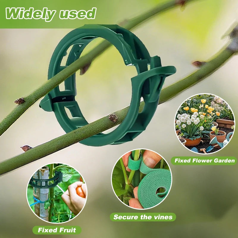 support plante grimpante vert moderne clips ficelle ruban nylon inclusion set jardin fixations