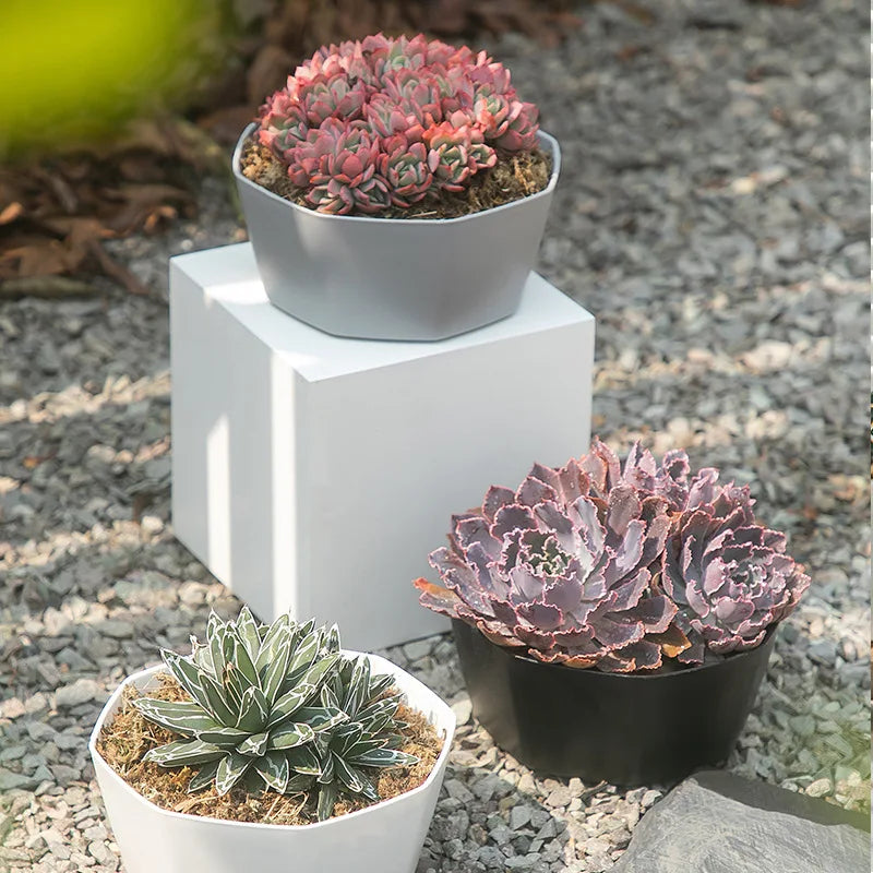 cache pot moderne plastique blanc gris noir jaune hexagonal plante intérieure drainage set pièces