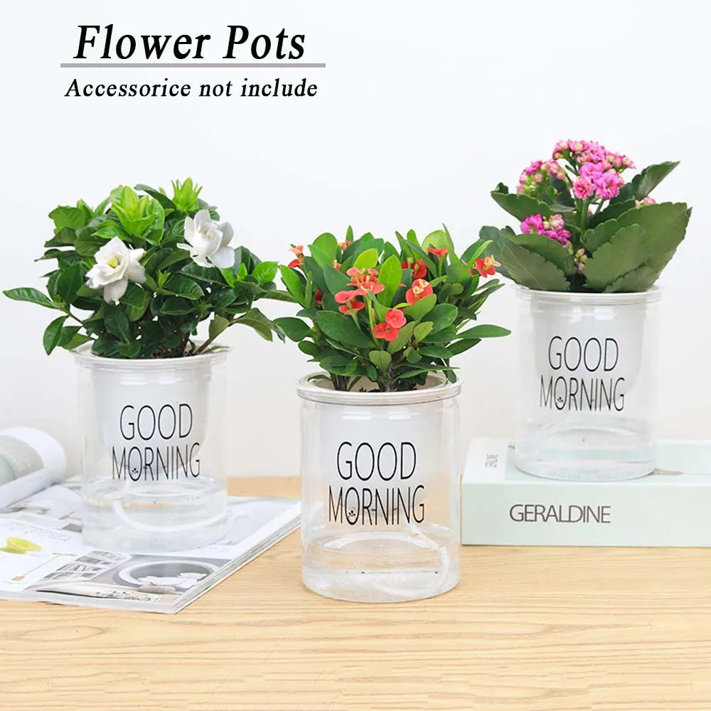 pots fleurs transparents plante verte moderne décoration intérieure minimaliste jardinière supplémentaire