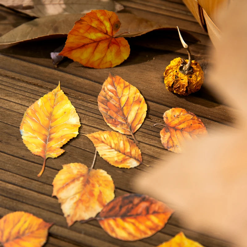 feuilles artificielles orange rouge vert bleu marron jaune adhésives scrapbooking bricolage papeterie manuelle naturelle