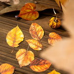 feuilles artificielles orange rouge vert bleu marron jaune adhésives scrapbooking bricolage papeterie manuelle naturelle