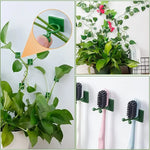fixateur mural plantes adhésif plastique vert simple moderne support plante colles