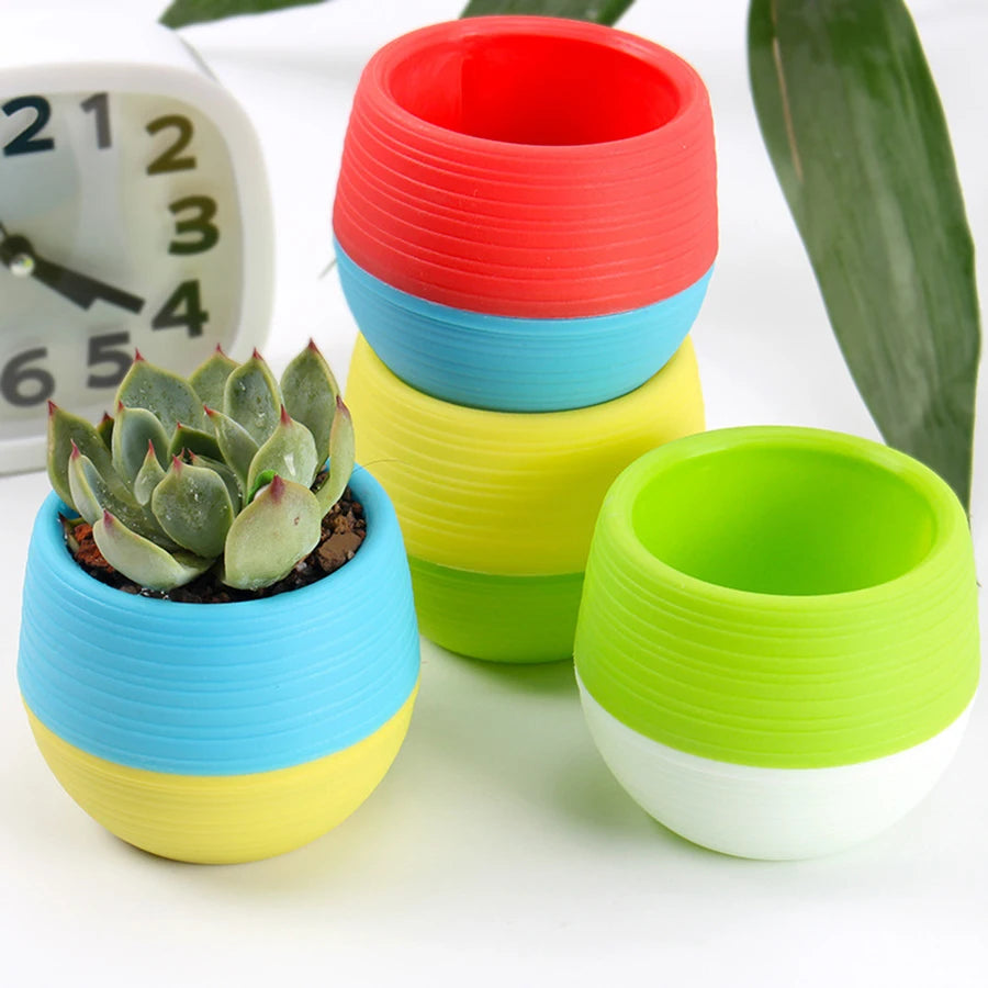 pots fleurs succulentes drainants couleur aléatoire rayures modernes transparents petite plante jardinière echangable