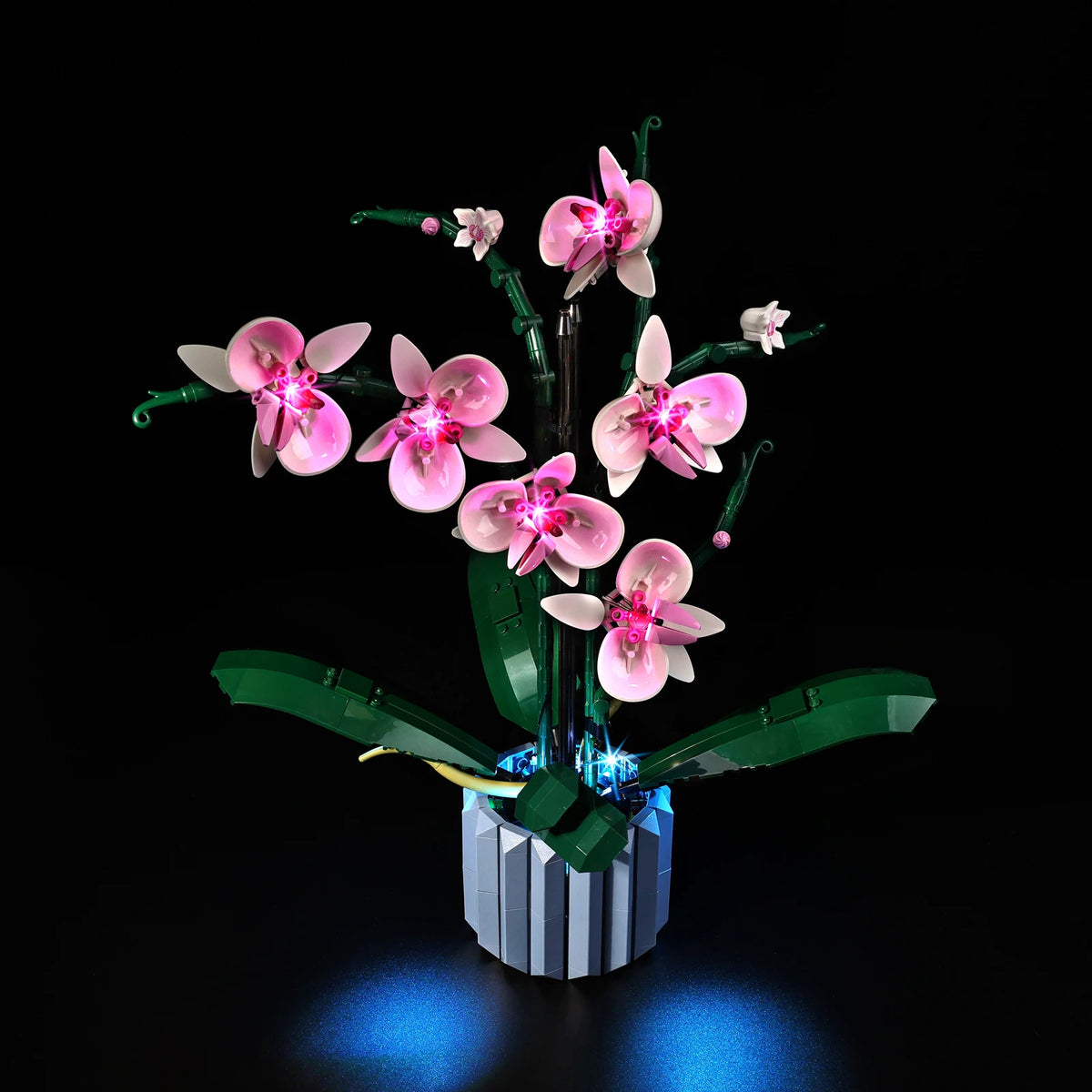 orchidée lego rose blanche verte fleurs feuilles larges kit led instructions adaptateur câble garantie