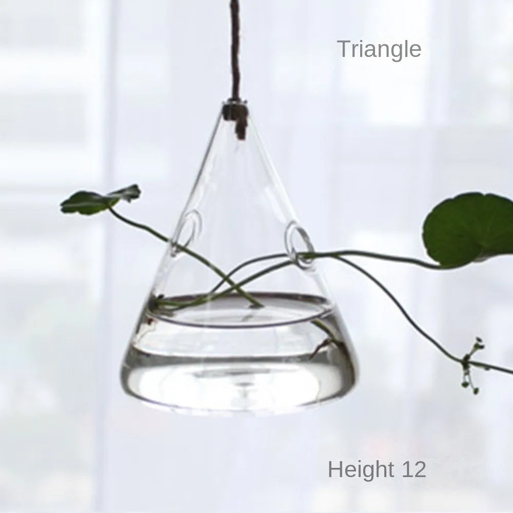 ampoules verre transparentes modernes opalescentes cordelette boutons fixation pot plantes minimaliste