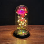 veilleuse led rose artificielle cloche verre éclairage couleur variée base noire