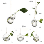 vases suspendus verre transparent motifs oiseaux coeurs plantes vertes minimaliste terrarium hydroponie