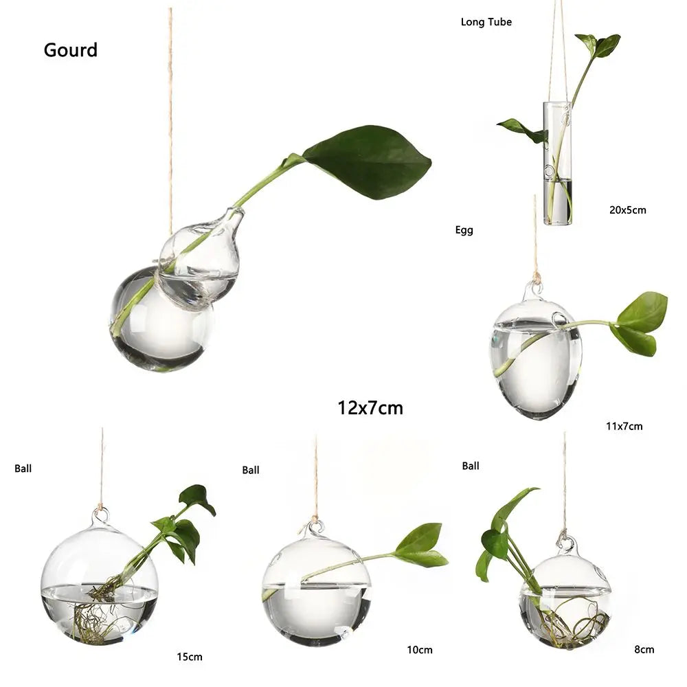 vases suspendus verre transparent motifs oiseaux coeurs plantes vertes minimaliste terrarium hydroponie