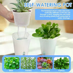 pots auto arrosants blancs modernes fente drainage coton fenêtre niveau eau