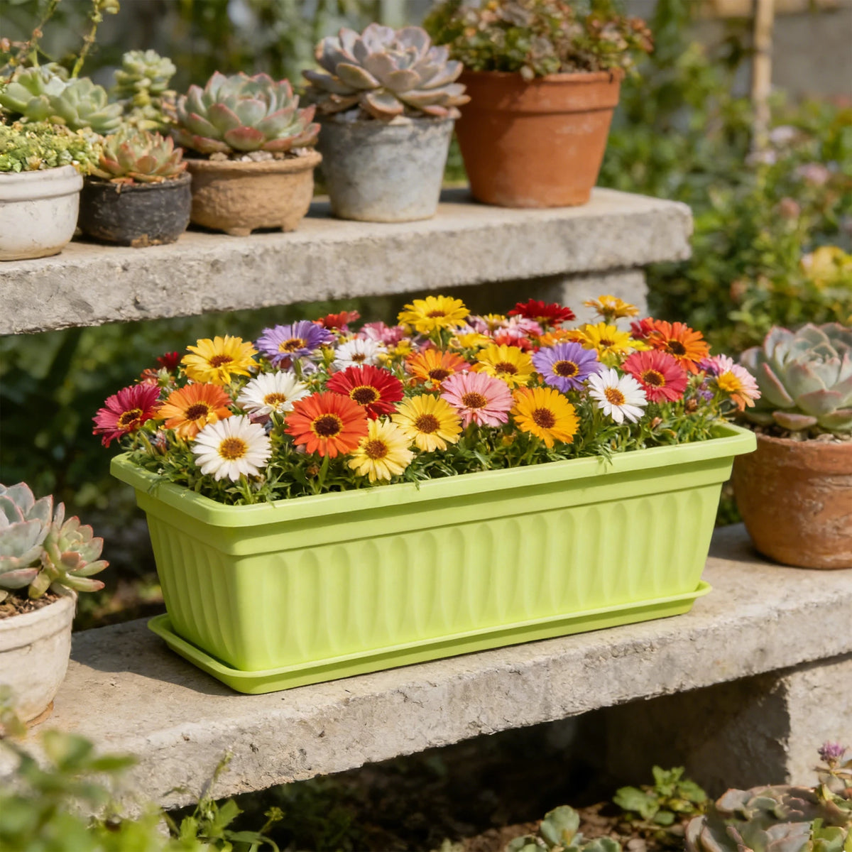 pots fleurs couleur violet vert rose bleu orange blanc rayures modernes balcon patio