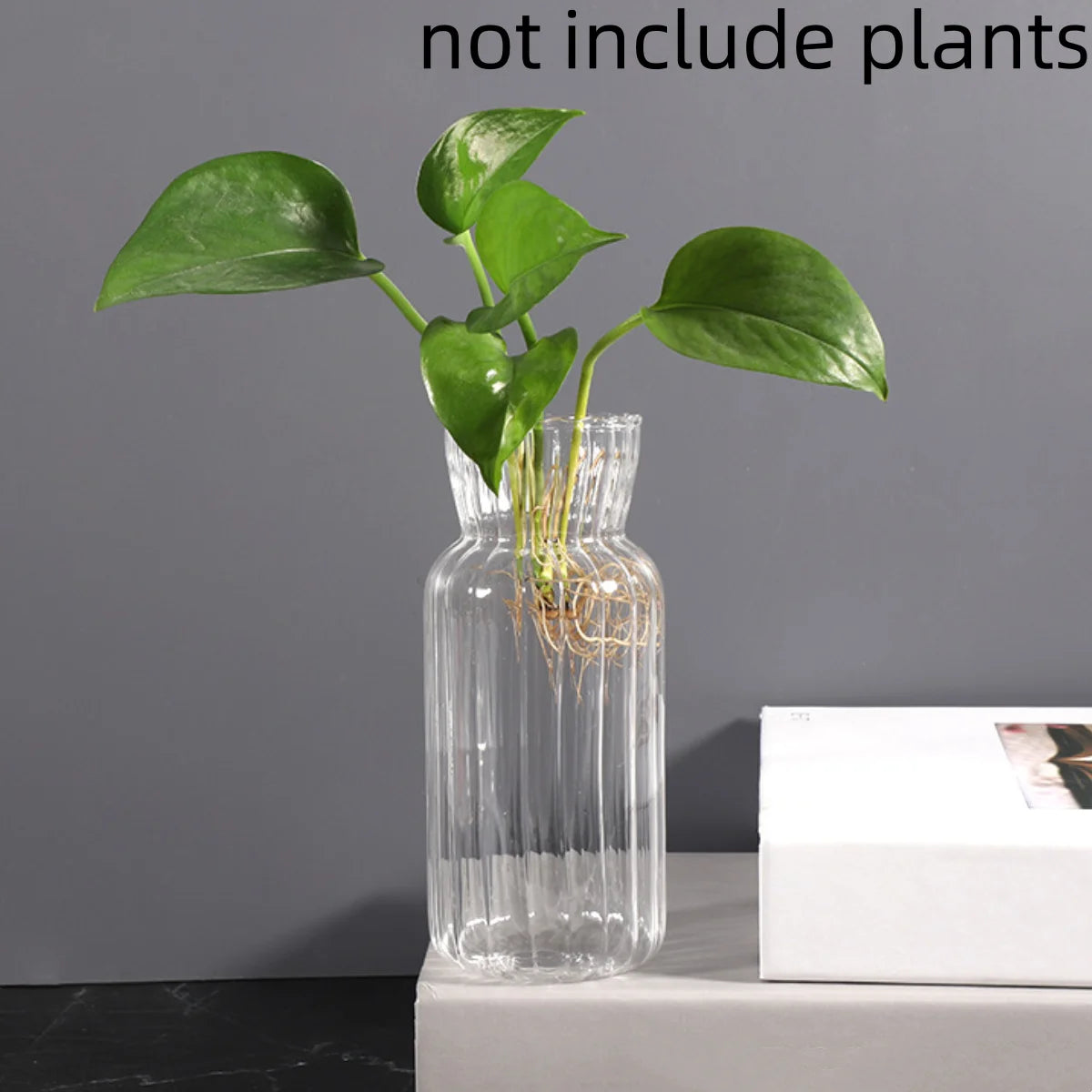 vases verre transparent rayés modernes decoration table maison fleurissement hydroponique set