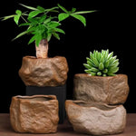 pots céramique succulentes aspect pierre naturelle moderne rustique drainage marron gris