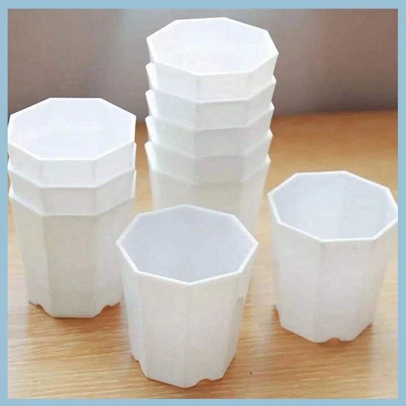 Pots semis hexagonaux blancs translucides bacs pépinière moderne plantes intérieur extérieur pièces
