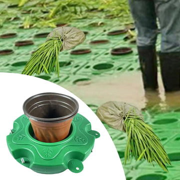 panier fleurs pot semis riz fleuri support jardin étang aquatique vert feuilles stylisées opaques