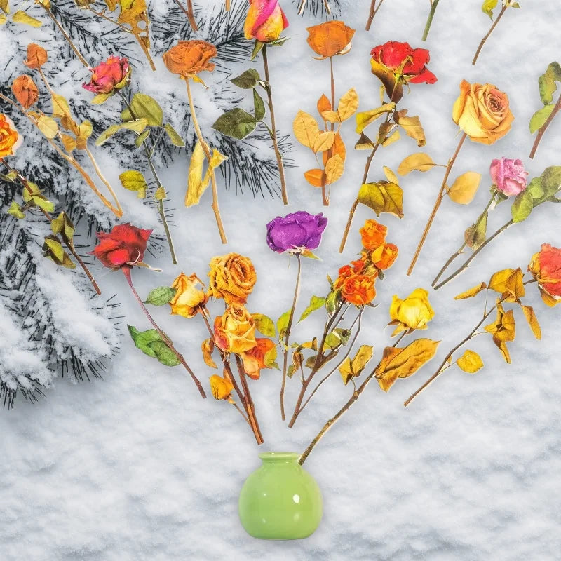 fleurs séchées artisanales adhésives ruban blanc naturel multicolore pack random